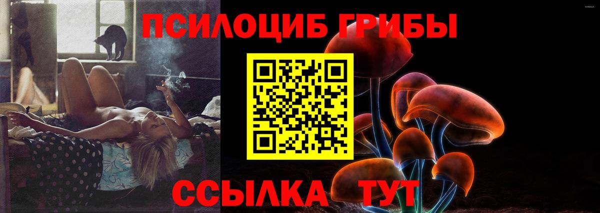 Псилоцибиновые грибы мицелий Сергиев Посад